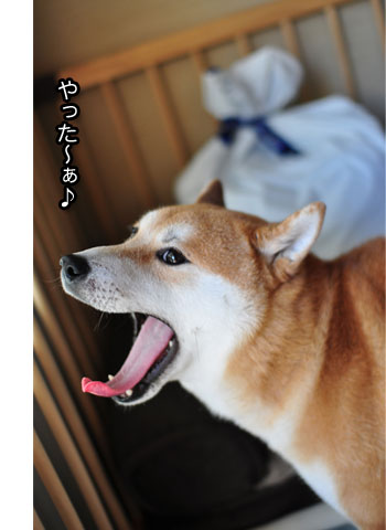 23日ブログ20.jpg