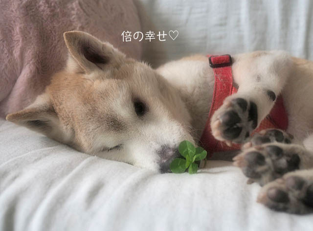 2日ブログ5