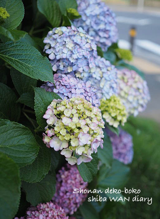 27日夜ブログ１