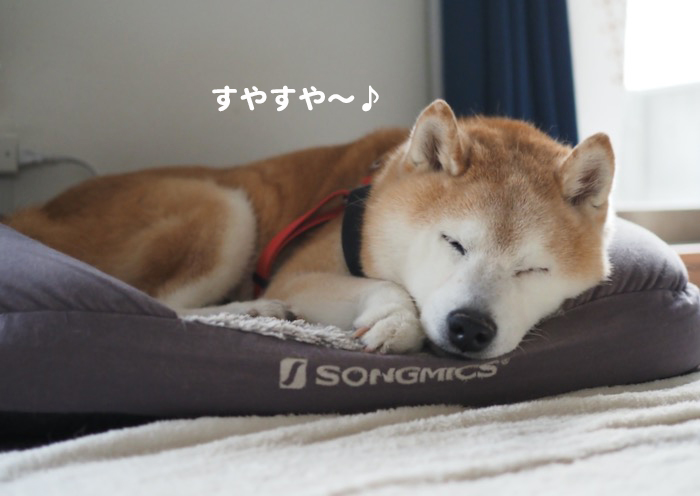 22日夕ブログ２