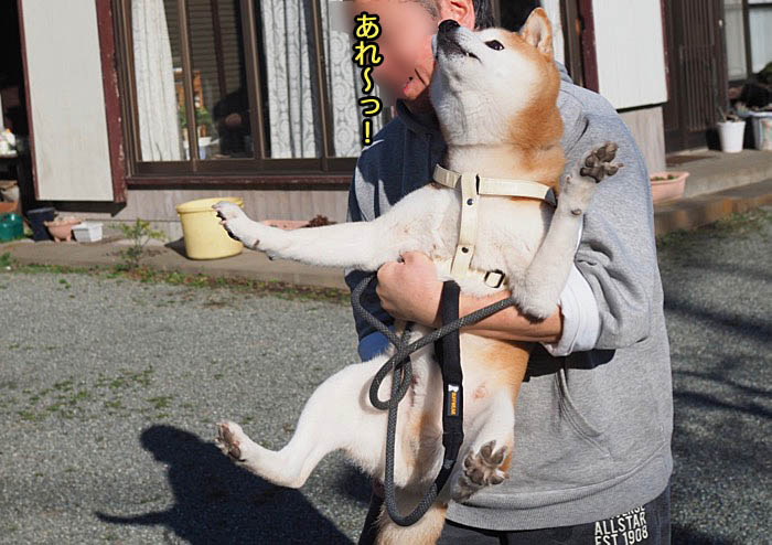 30日ブログ８