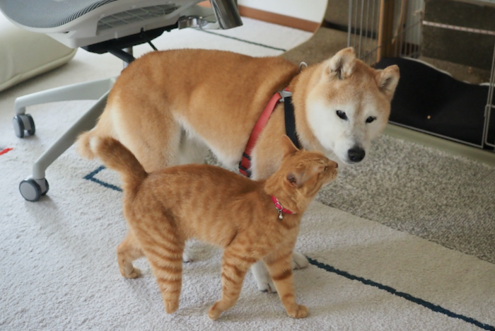 15日ブログ用１