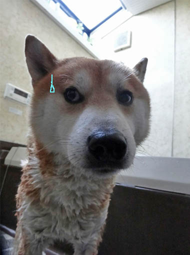 4日ブログ5.jpg