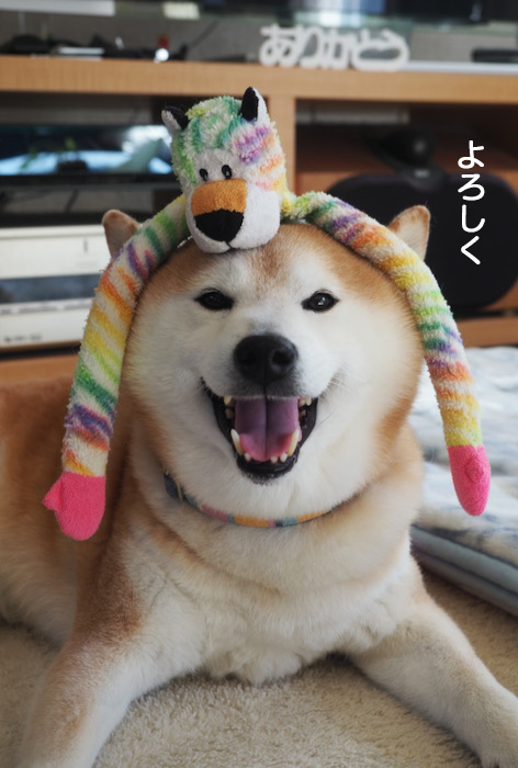 1日のブログ４