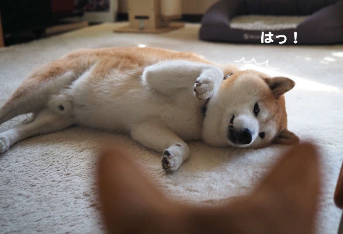 14日ブログ２