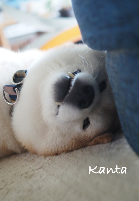 2日ブログ１