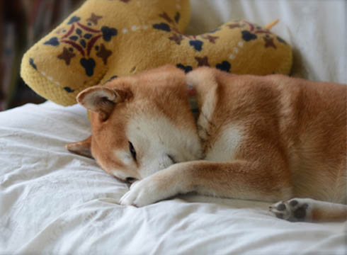 1日ブログ4.jpg