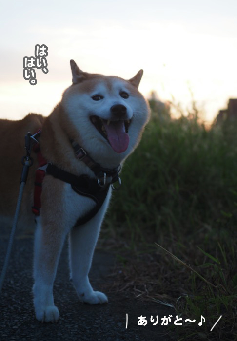 20日ブログ４