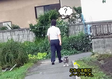 23日ブログ4.jpg