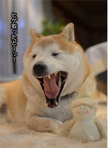 5日ブログ8.jpg