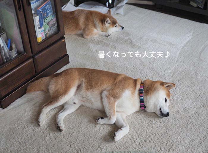 11日ブログ１０