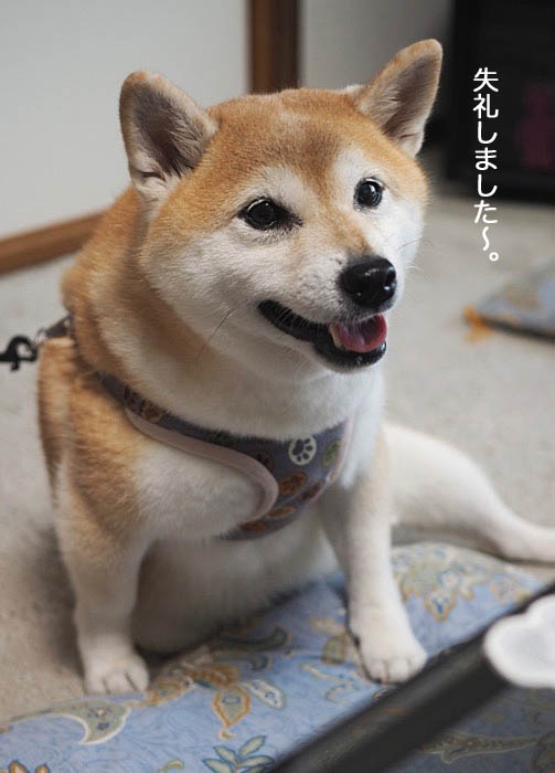 28日夜ブログ１０