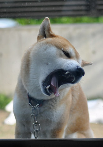 18日ブログ８.jpg
