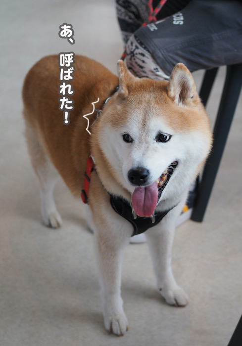 21日夕ブログ８