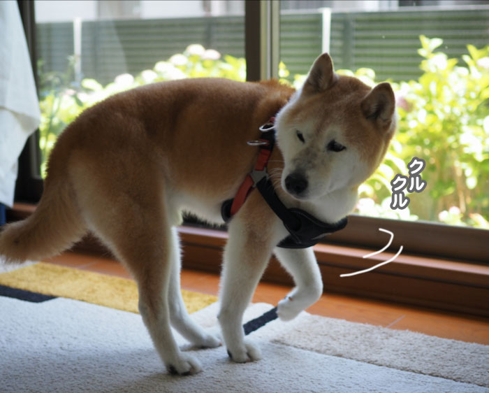 15日ブログ３