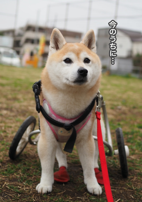 18日夜ブログ2