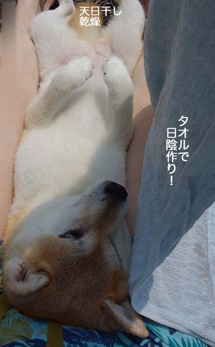 2日ブログ７