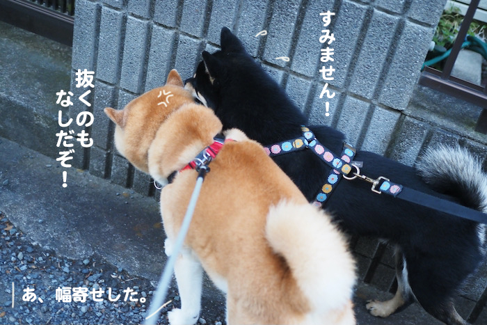 12日夜ブログ７