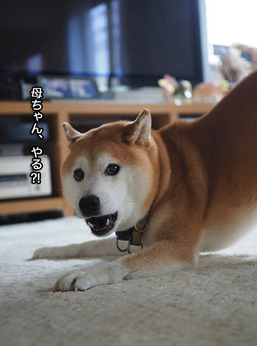18日ブログ１