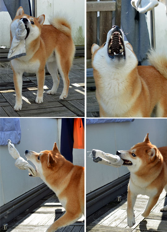 12日ブログ6.jpg