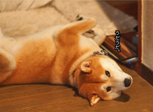30日ブログ4.jpg