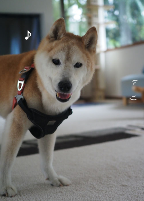 14日夕ブログ５