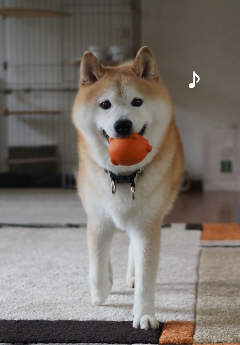 1日夕ブログ２