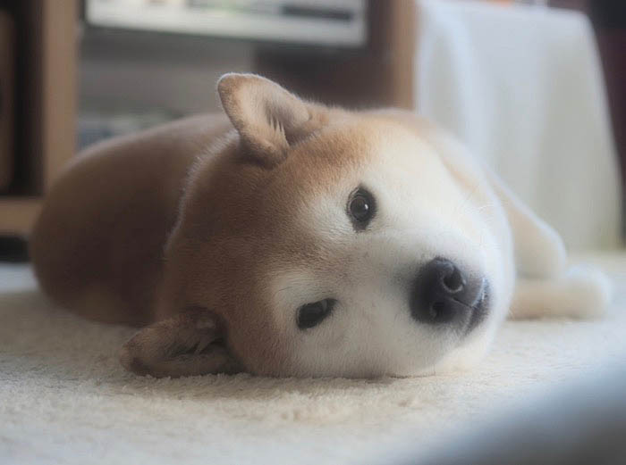 9日夜ブログ3