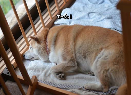 25日ブログ5.jpg