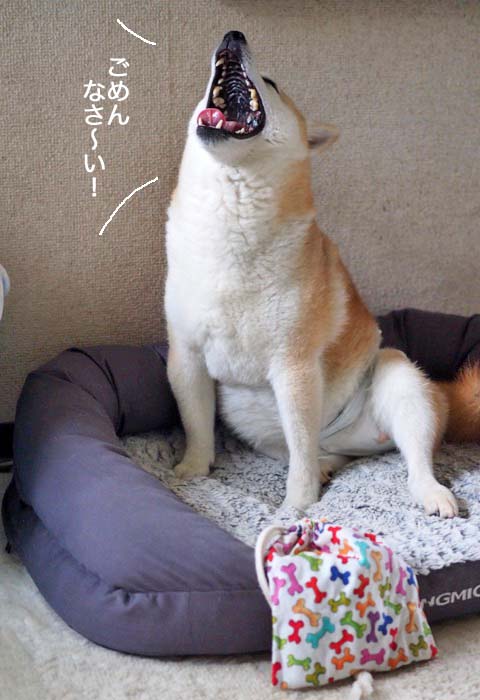 17日ブログ３