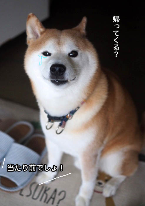 4日夜ブログ５