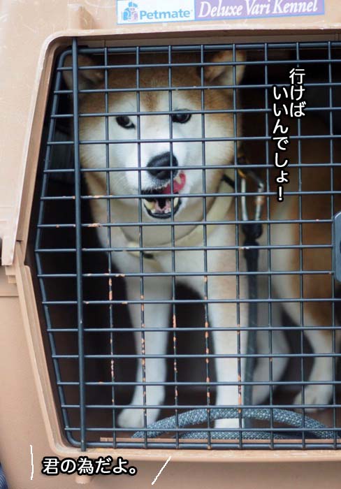 23日ブログ７