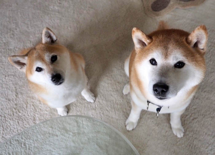 11日ブログ１３