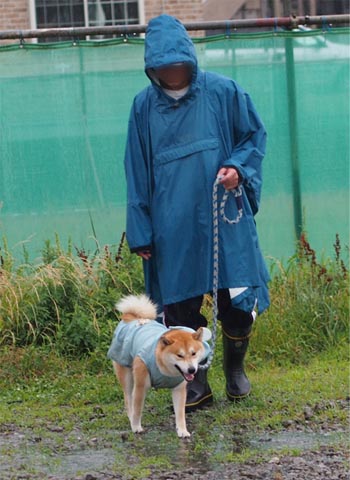 17日ブログ5.jpg