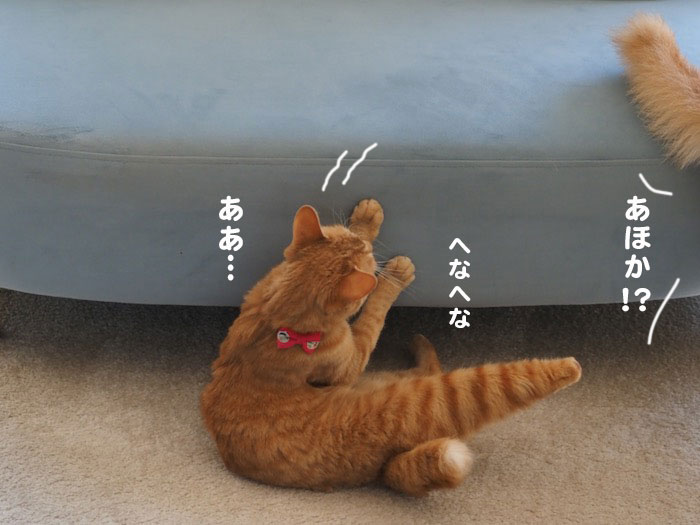 11日夕ブログ１７