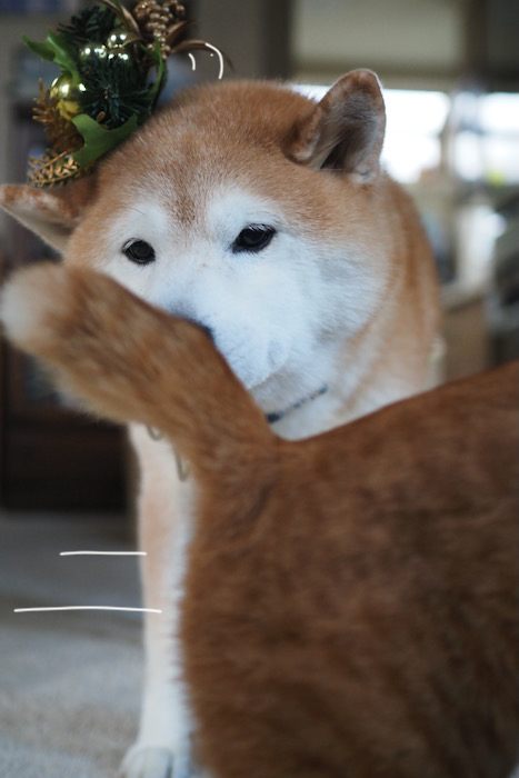 6日夕ブログ８