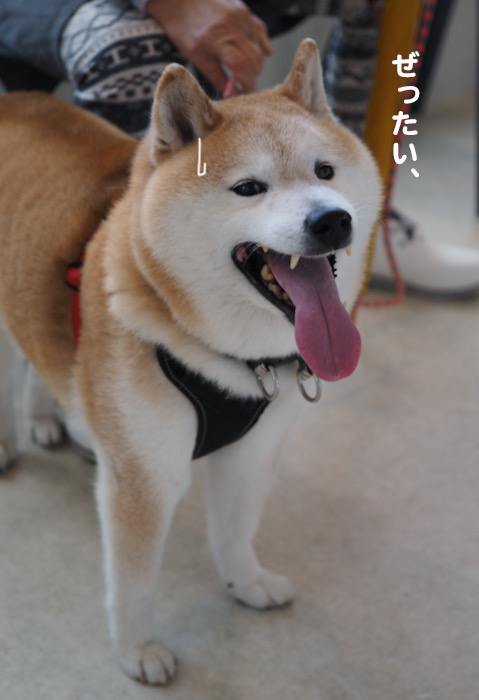 23日夕ブログ５