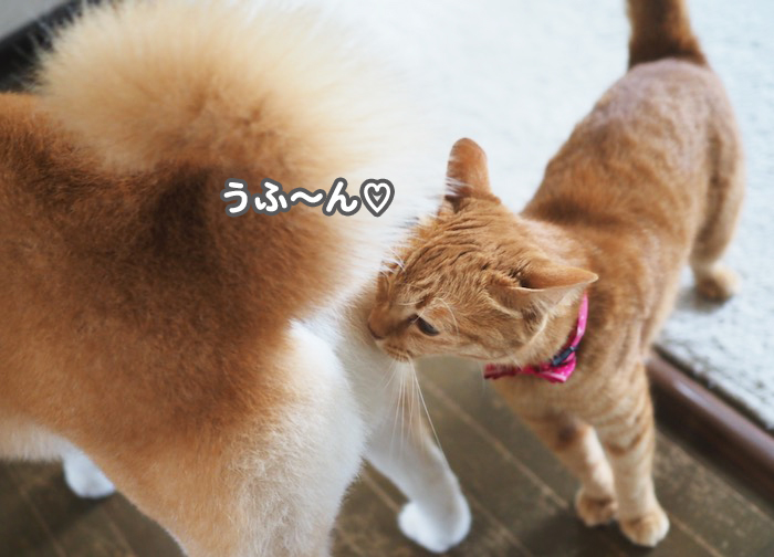 24日夕ブログ５