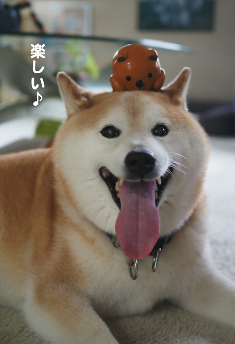 3日夕ブログ４