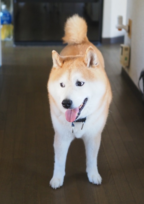 28日ブログ２