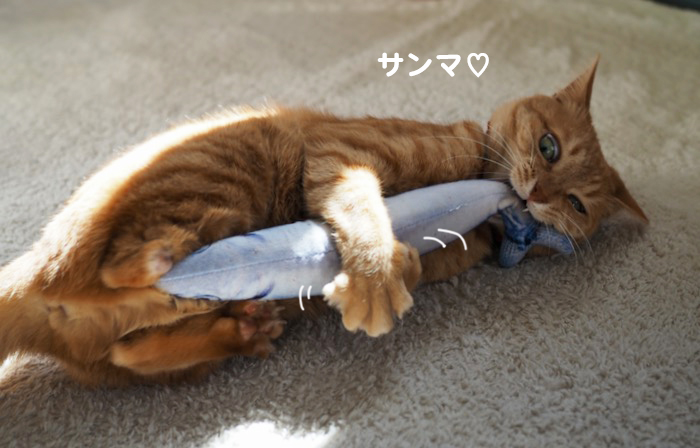 29日午前ブログ５