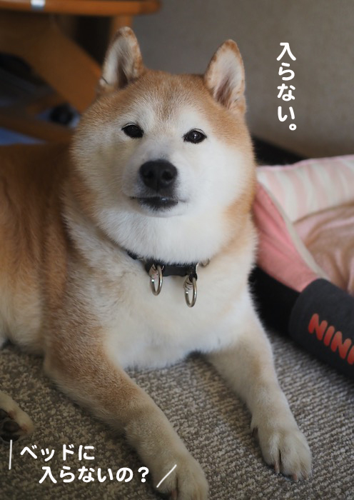 16日夕ブログ２