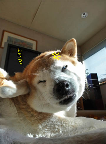 30日ブログ9.jpg
