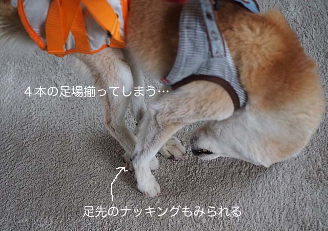 24日ブログ3
