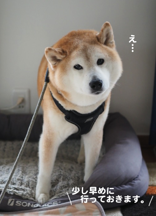 3日夕ブログ３