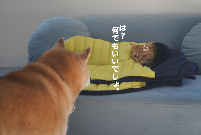 20日ブログ５