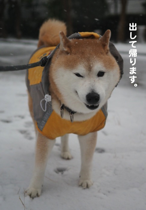 5日夕ブログ５