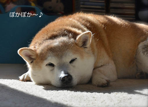 2日ブログ２.jpg