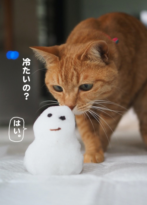 6日夕ブログ７