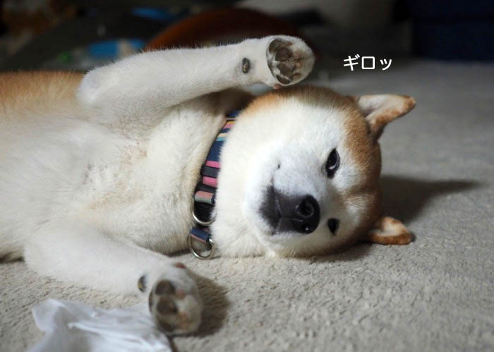 21日午前ブログ４